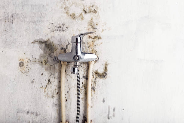Best HVAC Mold Remediation in Portland, TX