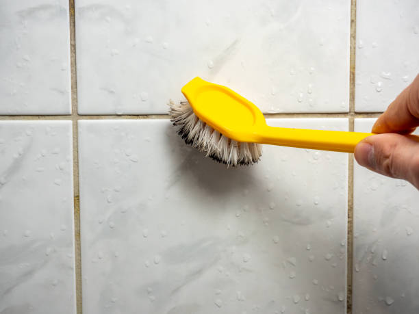 Best Black Mold Remediation in Portland, TX