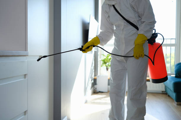 Portland, TX Mold Remediation Company