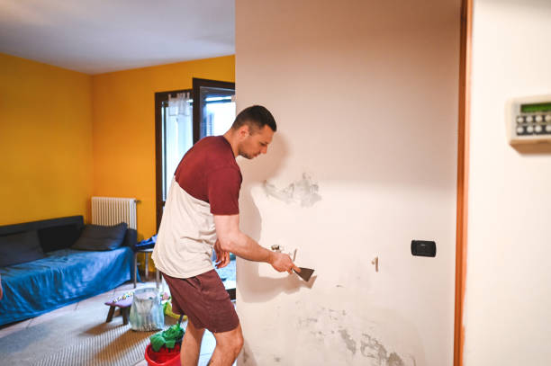 Best Health and Safety Mold Remediation in Portland, TX
